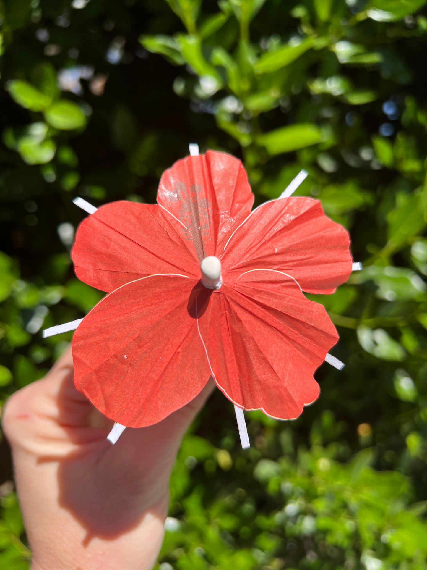 Red Hibiscus flower Cocktail Umbrella