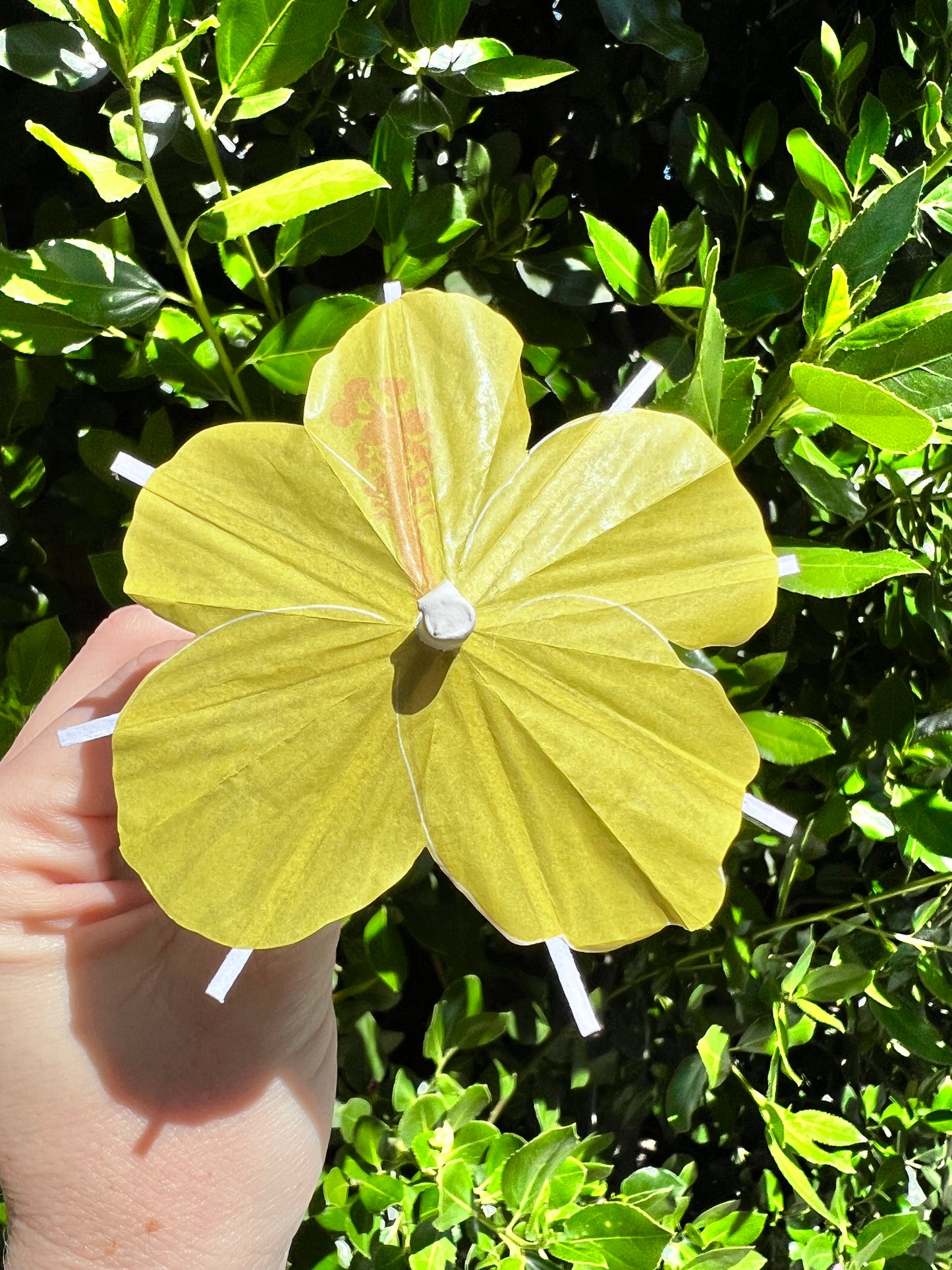 Margarita Yellow Hibiscus flower Cocktail Umbrella