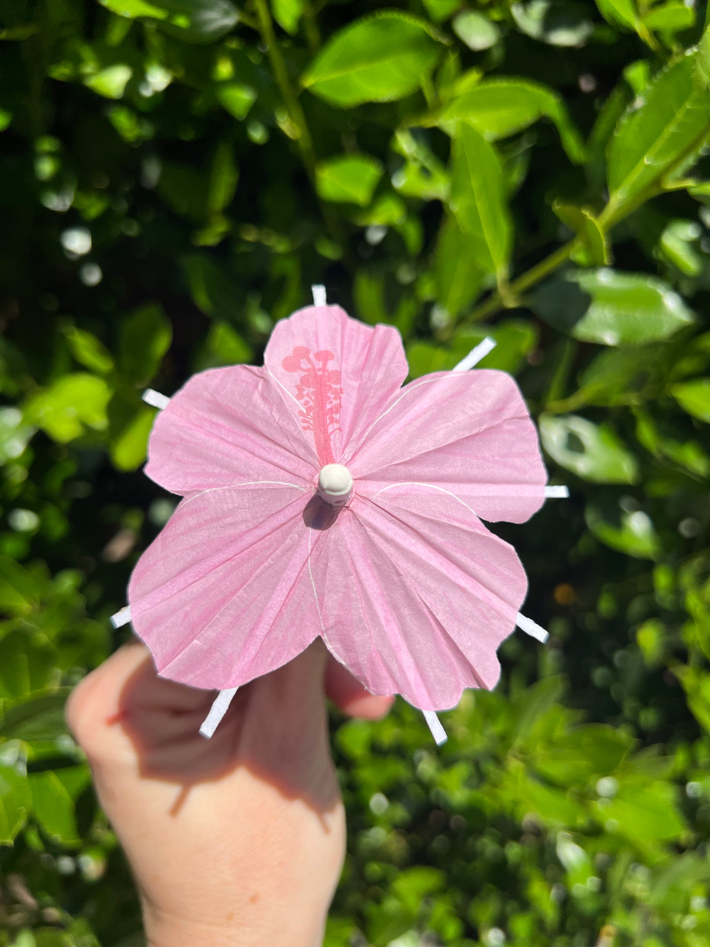 Light Pink Hibiscus flower Cocktail Umbrella