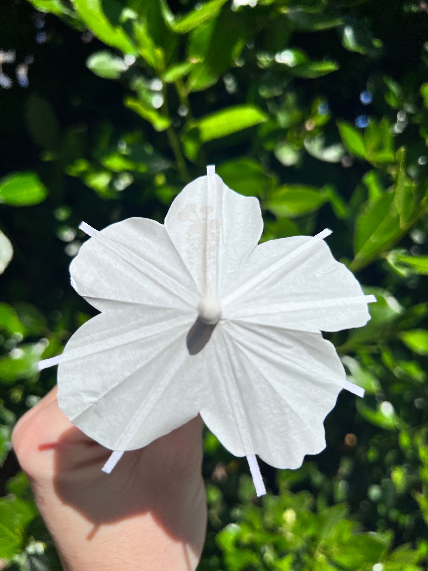 White Hibiscus flower Cocktail Umbrella