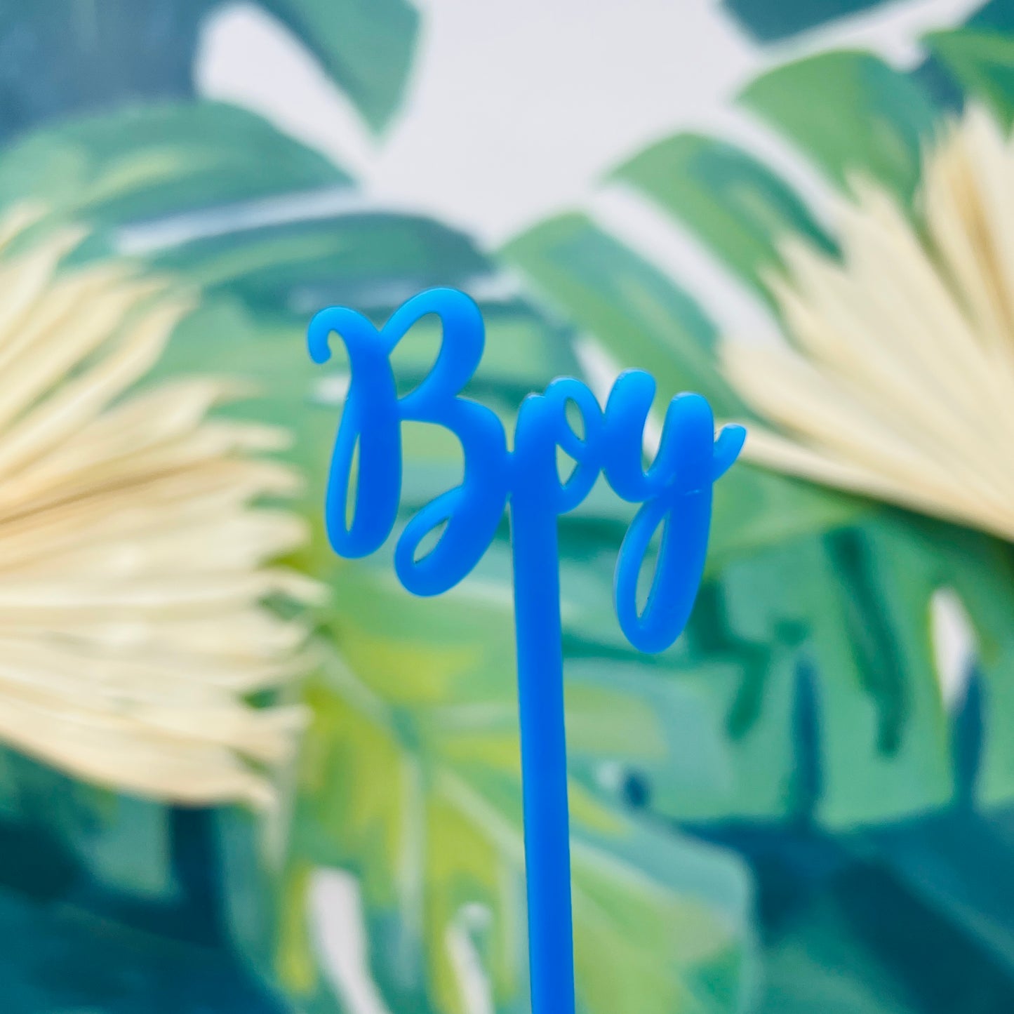 Boy Stir Stick Set of 4