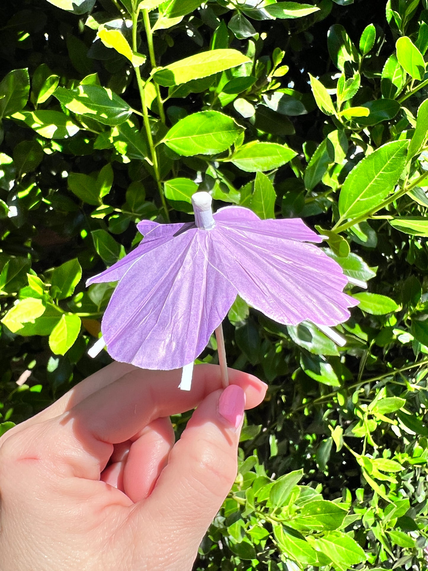 Lavender Purple Hibiscus flower Cocktail Umbrella
