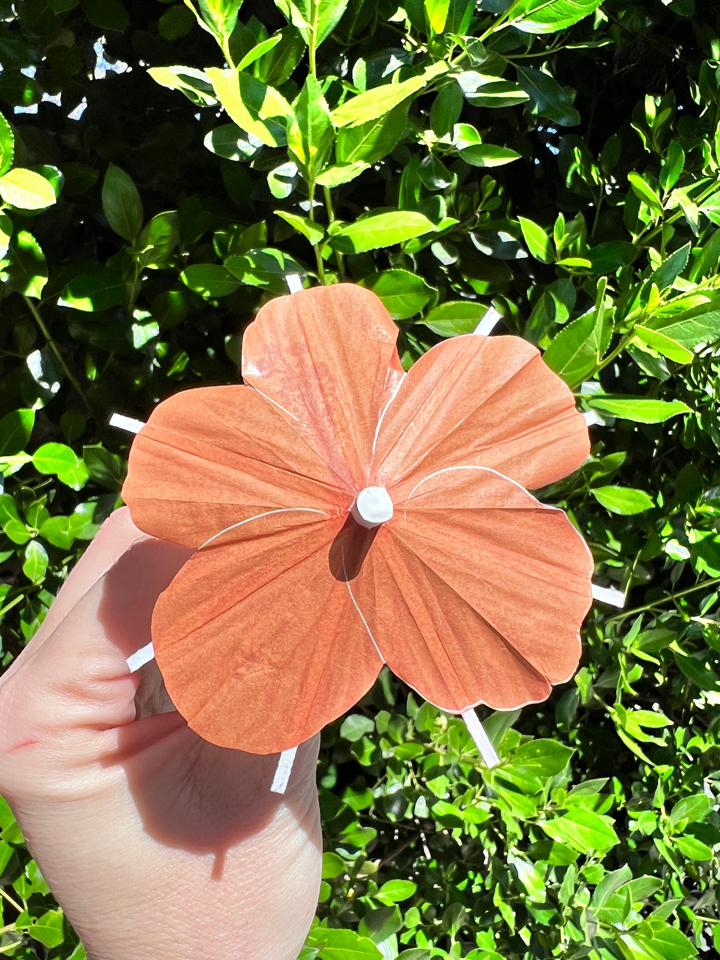 Orange Hibiscus flower Cocktail Umbrella