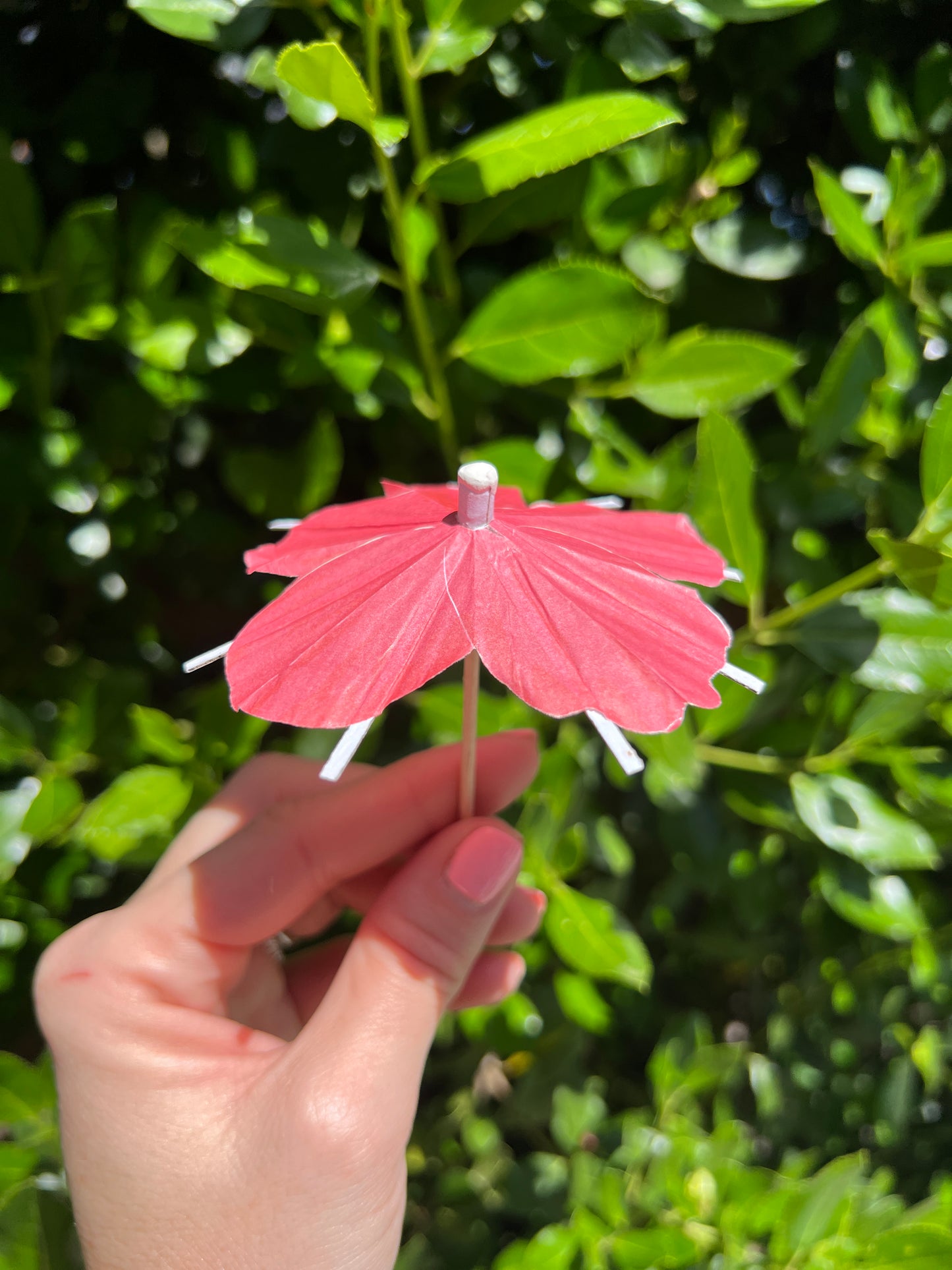 Dark Pink Hibiscus flower Cocktail Umbrella