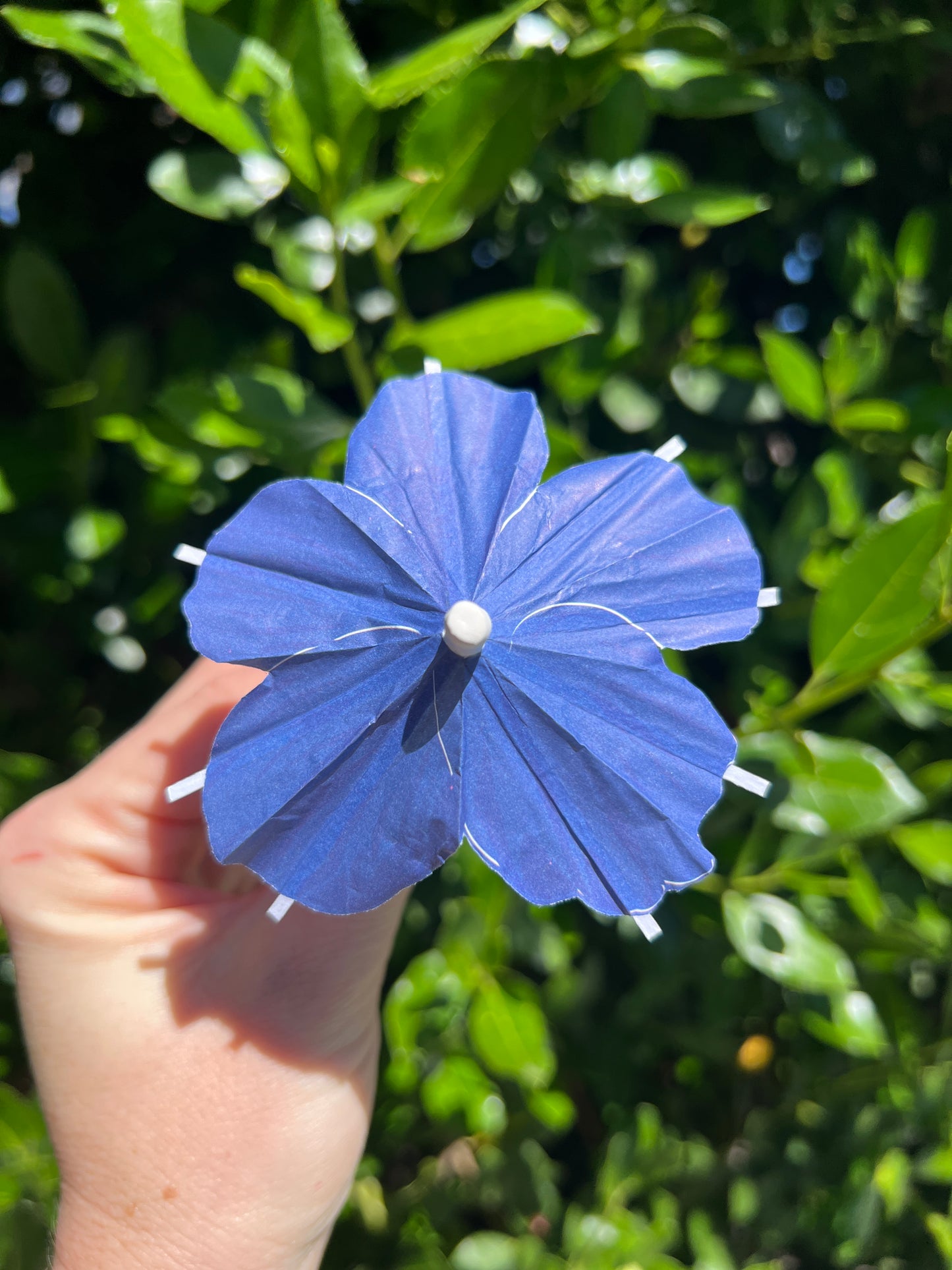 Dark Blue Hibiscus flower Cocktail Umbrella