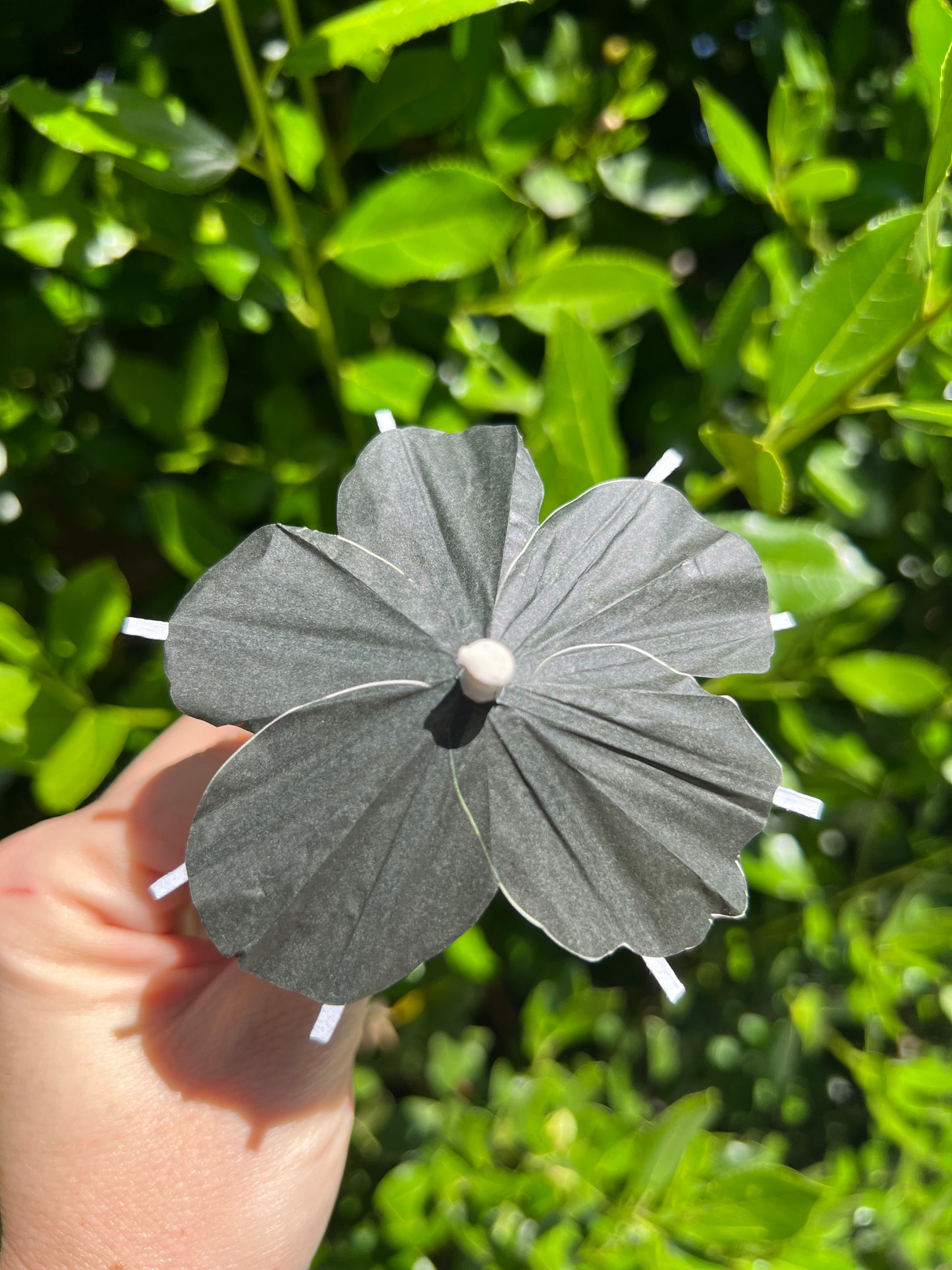 Black Hibiscus flower Cocktail Umbrella