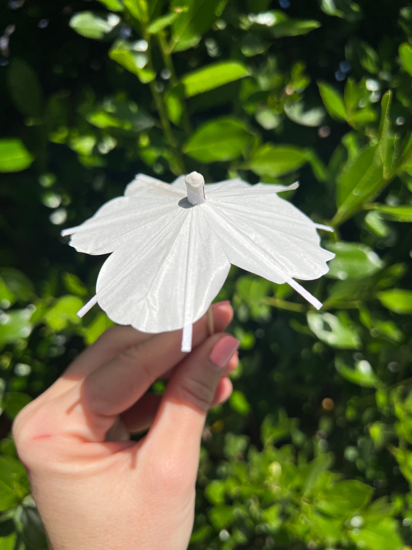 White Hibiscus flower Cocktail Umbrella